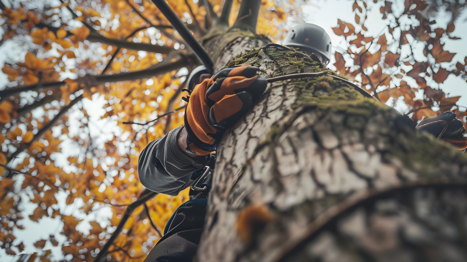 An image that shows one of our commercial roofing maintenance and repair results